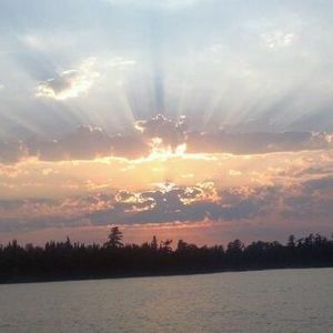 Meet your Posher, Phyllis